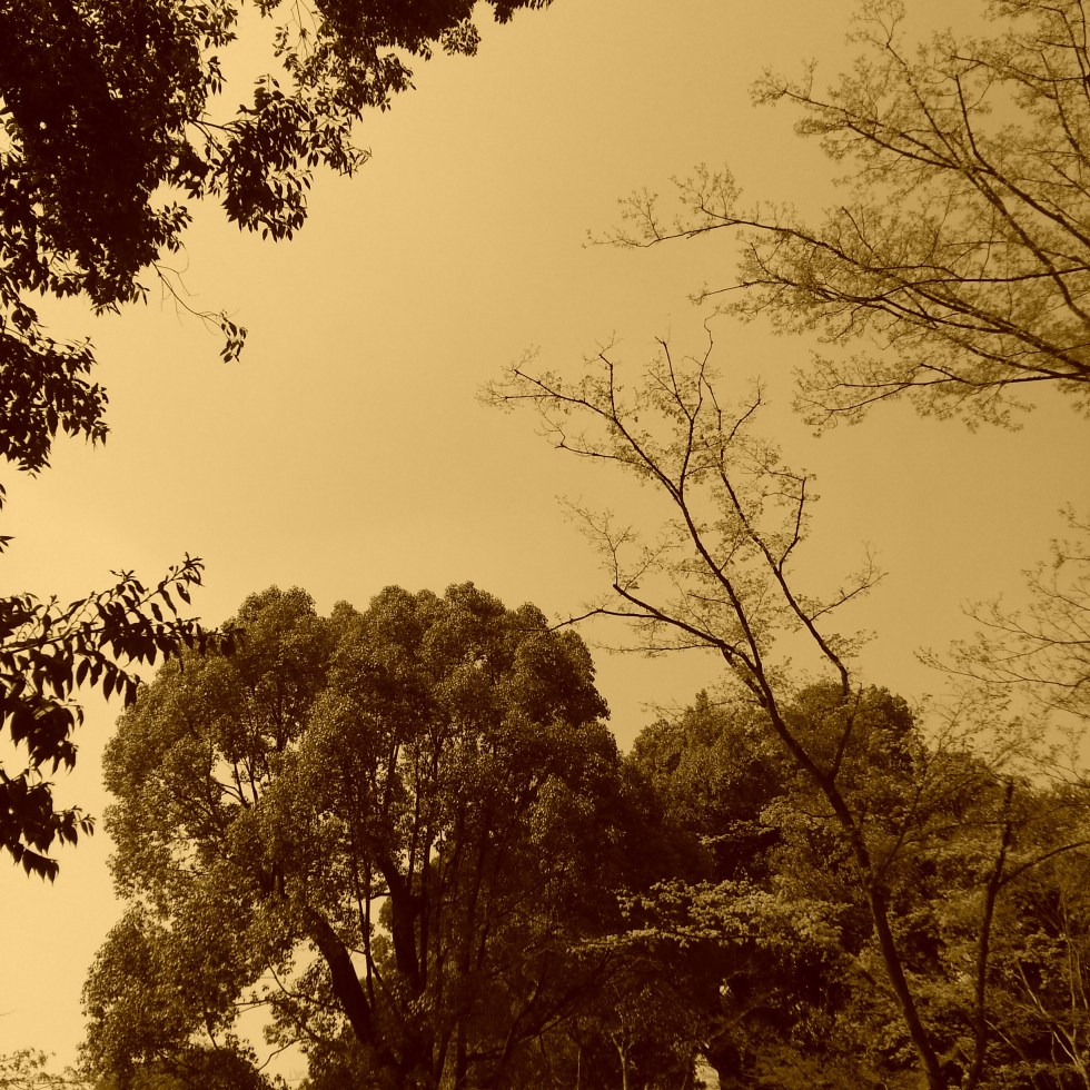 Magazines and My Not So Adventurous Beginning