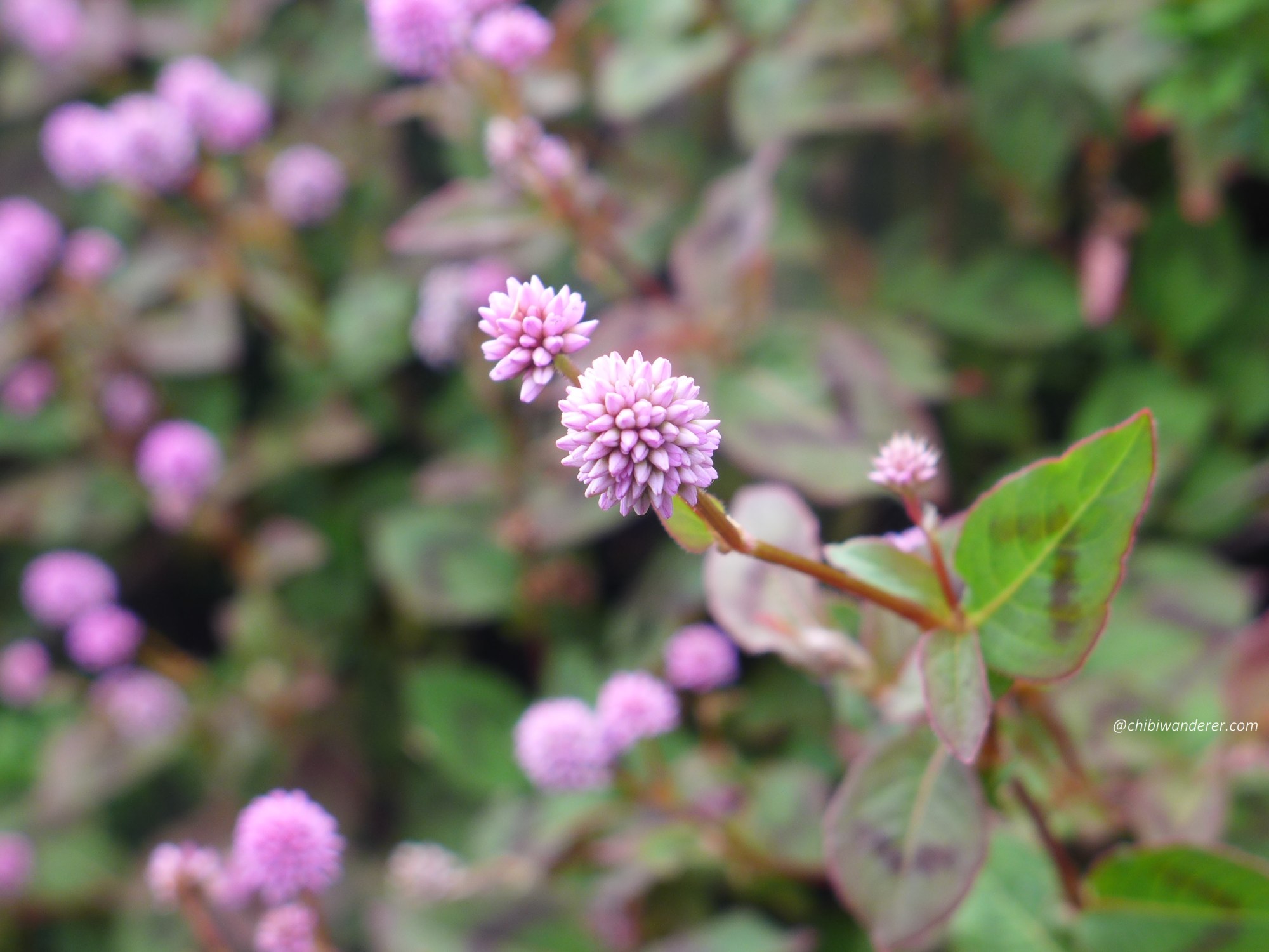 Finding Luck in Your Unlucky Day