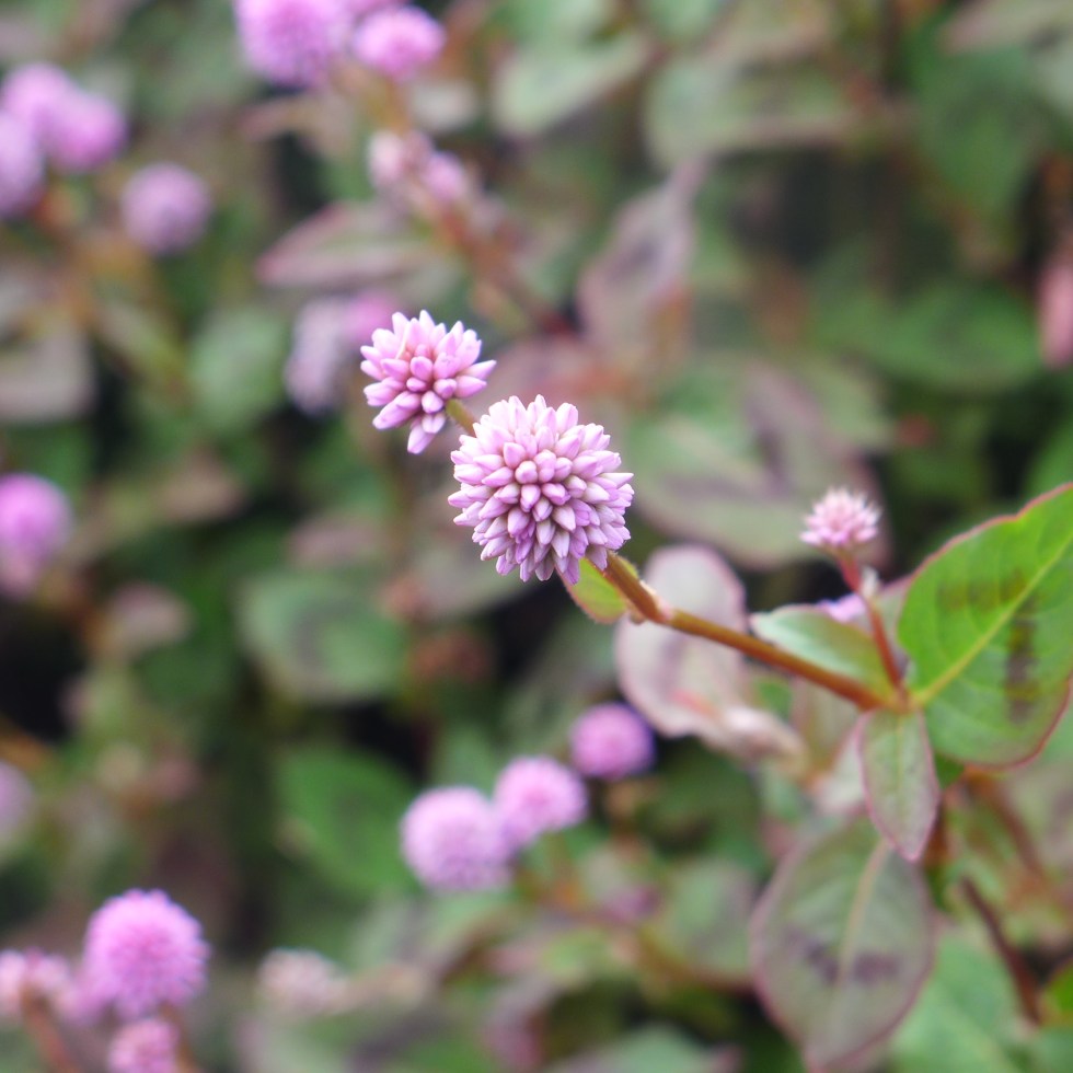 Finding Luck in Your Unlucky Day