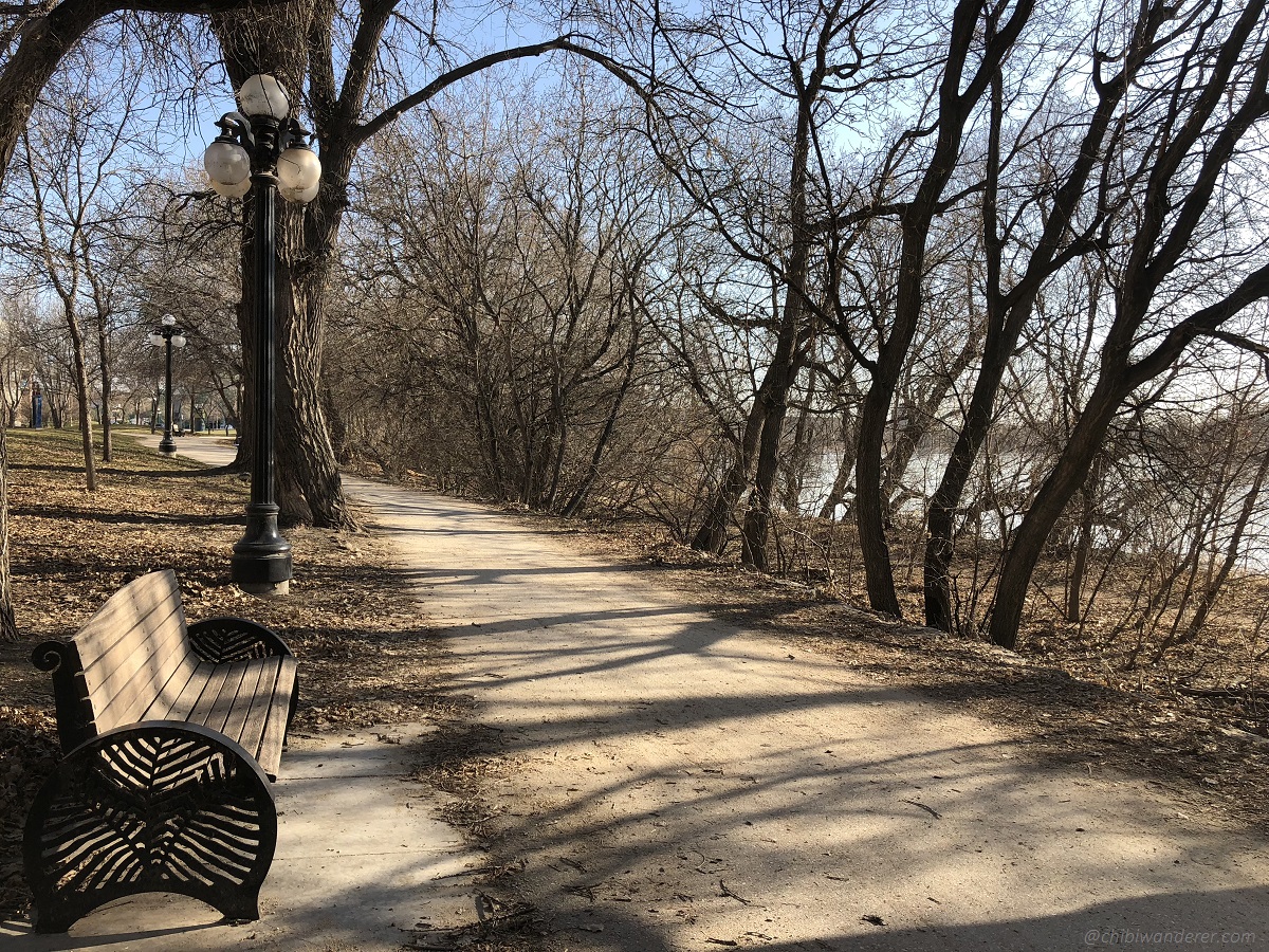 Wooden bench along the walkway in an early morning of spring