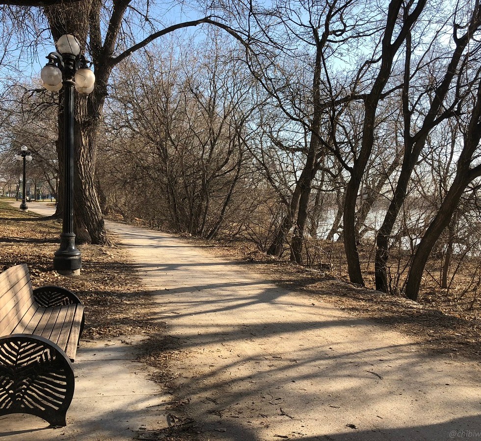 Wooden bench along the walkway in an early morning of spring