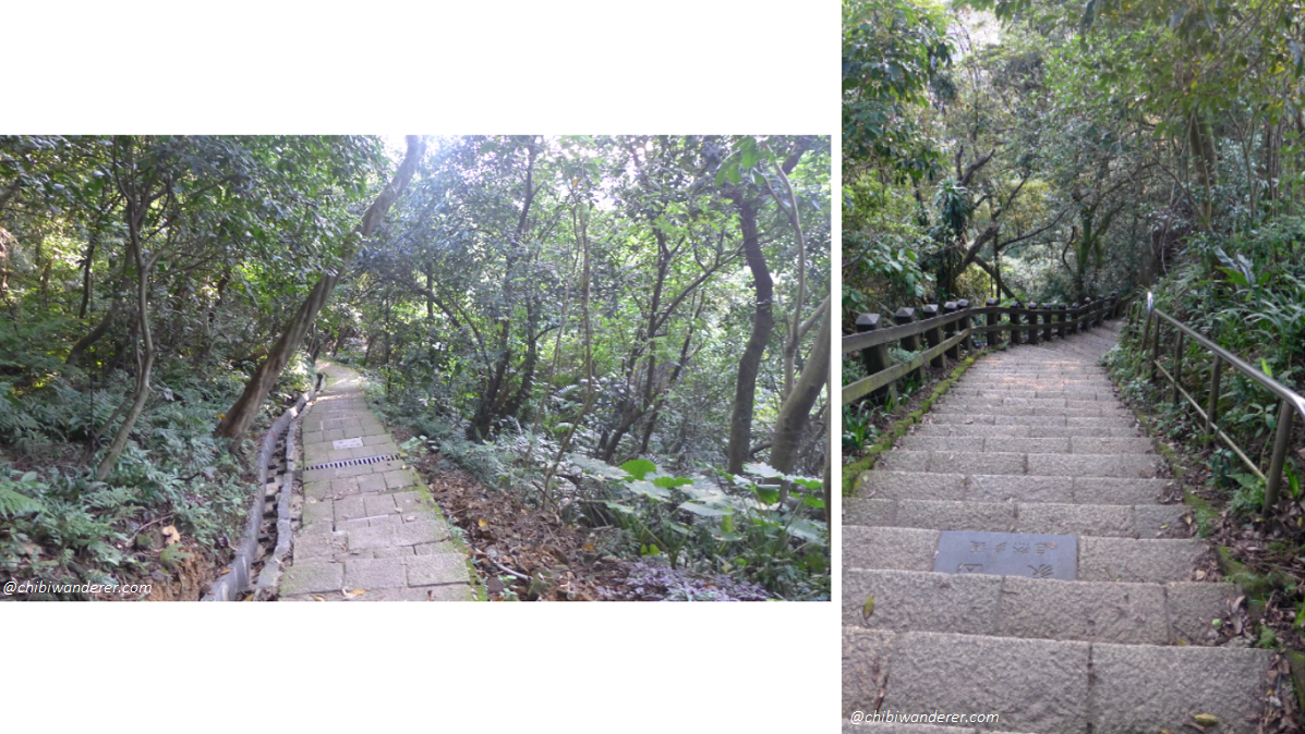 Trails on Elephant Mountain Taipei, Taiwan