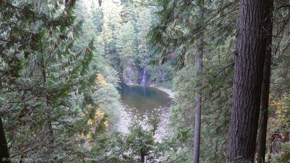 View of Falls from Capilano Bridge Park Vancouver