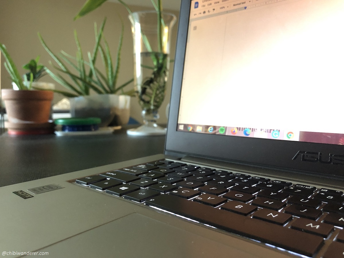 A laptop beside house plants