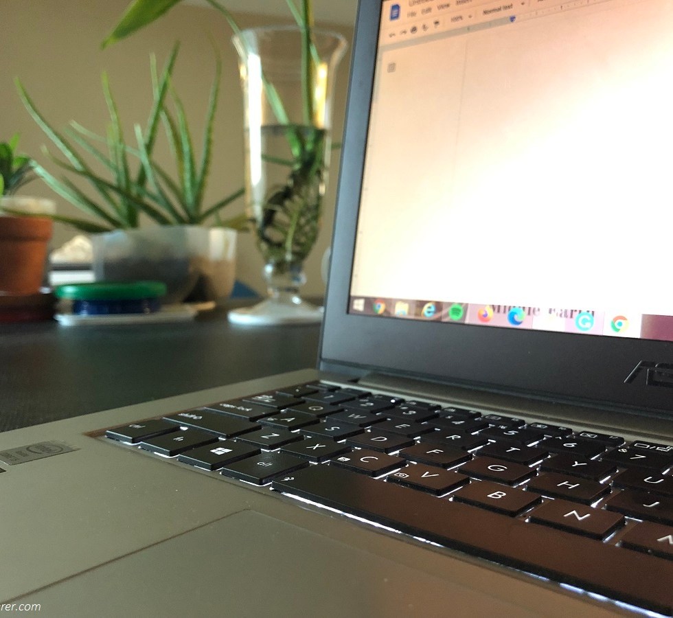A laptop beside house plants