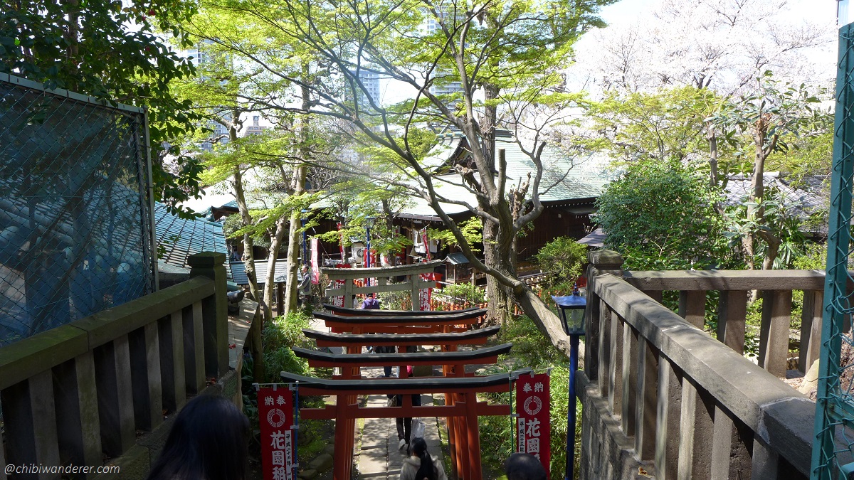 Torii Gates at Ueno Park Japan