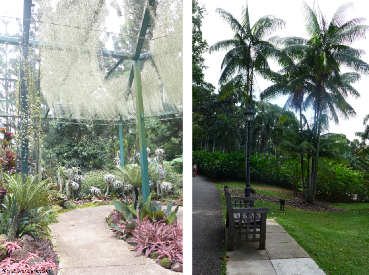 Bench in a walkway, walkway in the middle of flowers - Botanic Garden Singapore