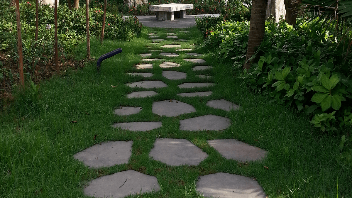 Stepping stones in garden path