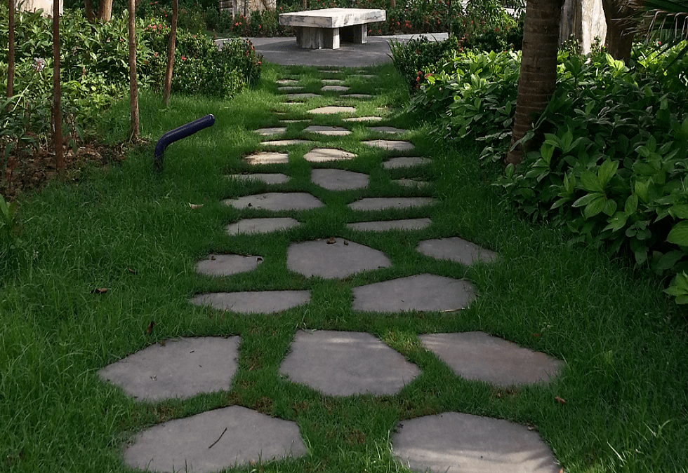 Stepping stones in garden path